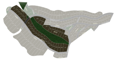Foressa Mountain Town - Lot Details - Parkside Premium Lots - Map